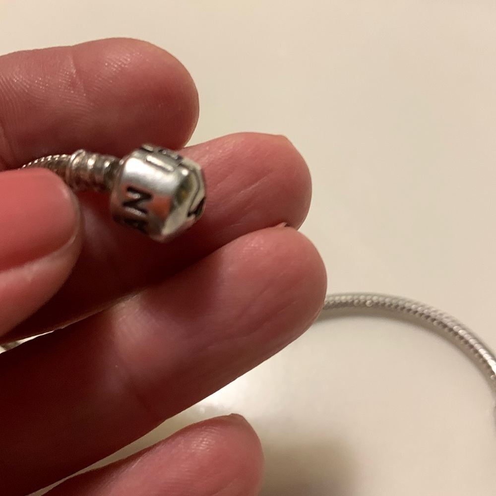 Women’s Pandora charm bracelet